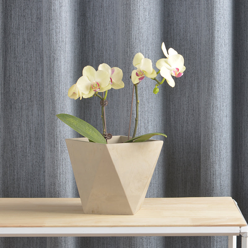 Macetero Cemento Triangular 650