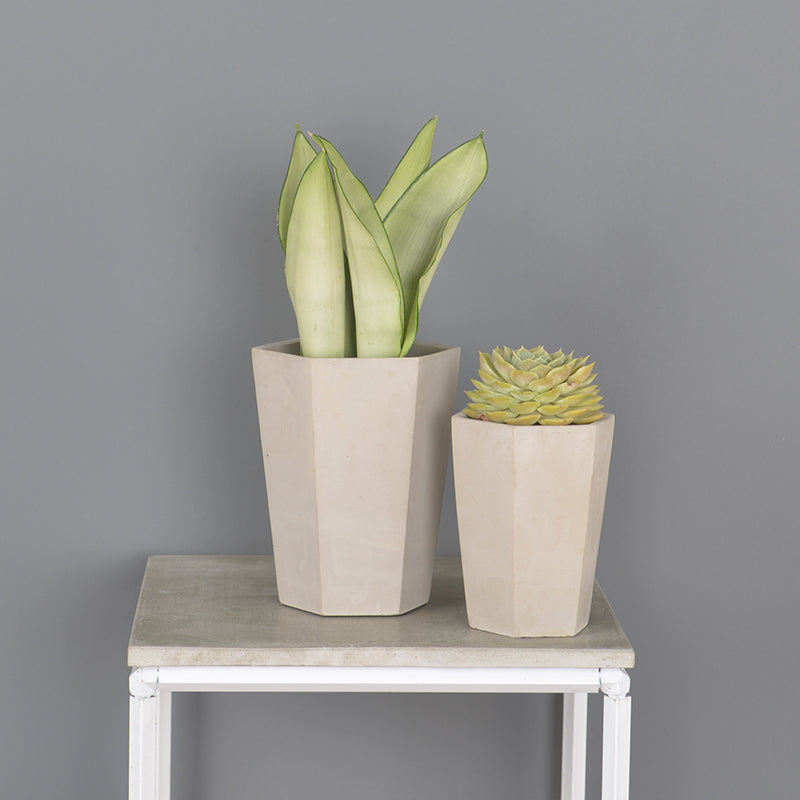 Macetero Cemento Hexagonal 642