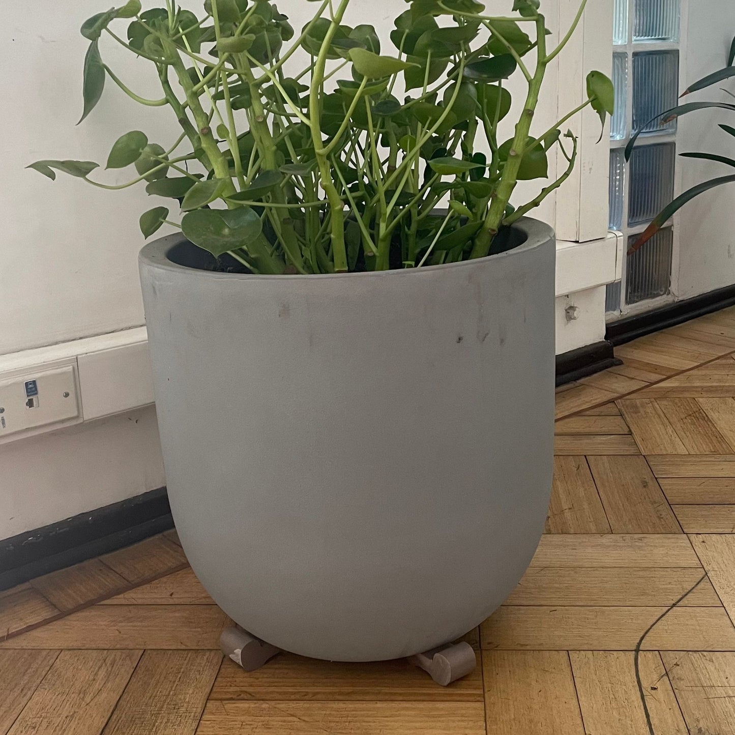 Pies para Macetas Grafito- Pack 3 Unidades