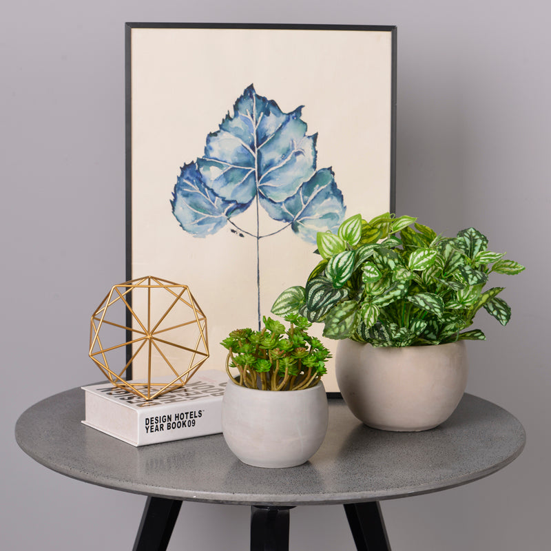 Macetero Cemento Cilindrica 668