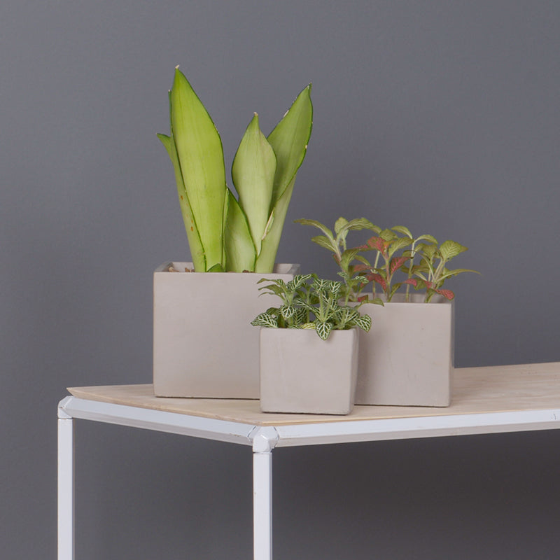 Macetero de Cemento Cubo 685