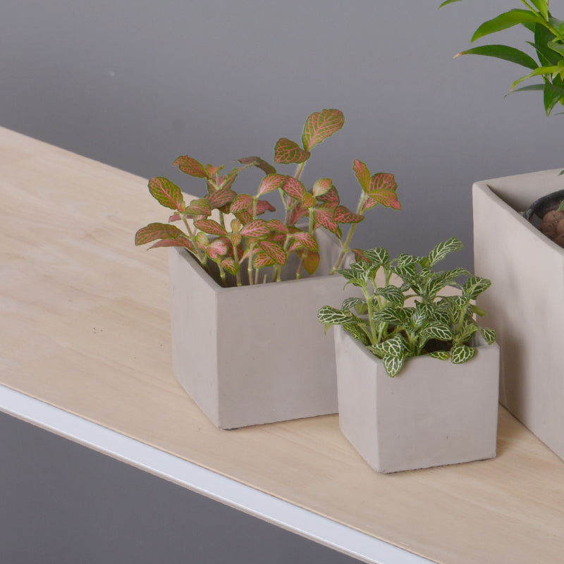 Macetero de Cemento Cubo 686