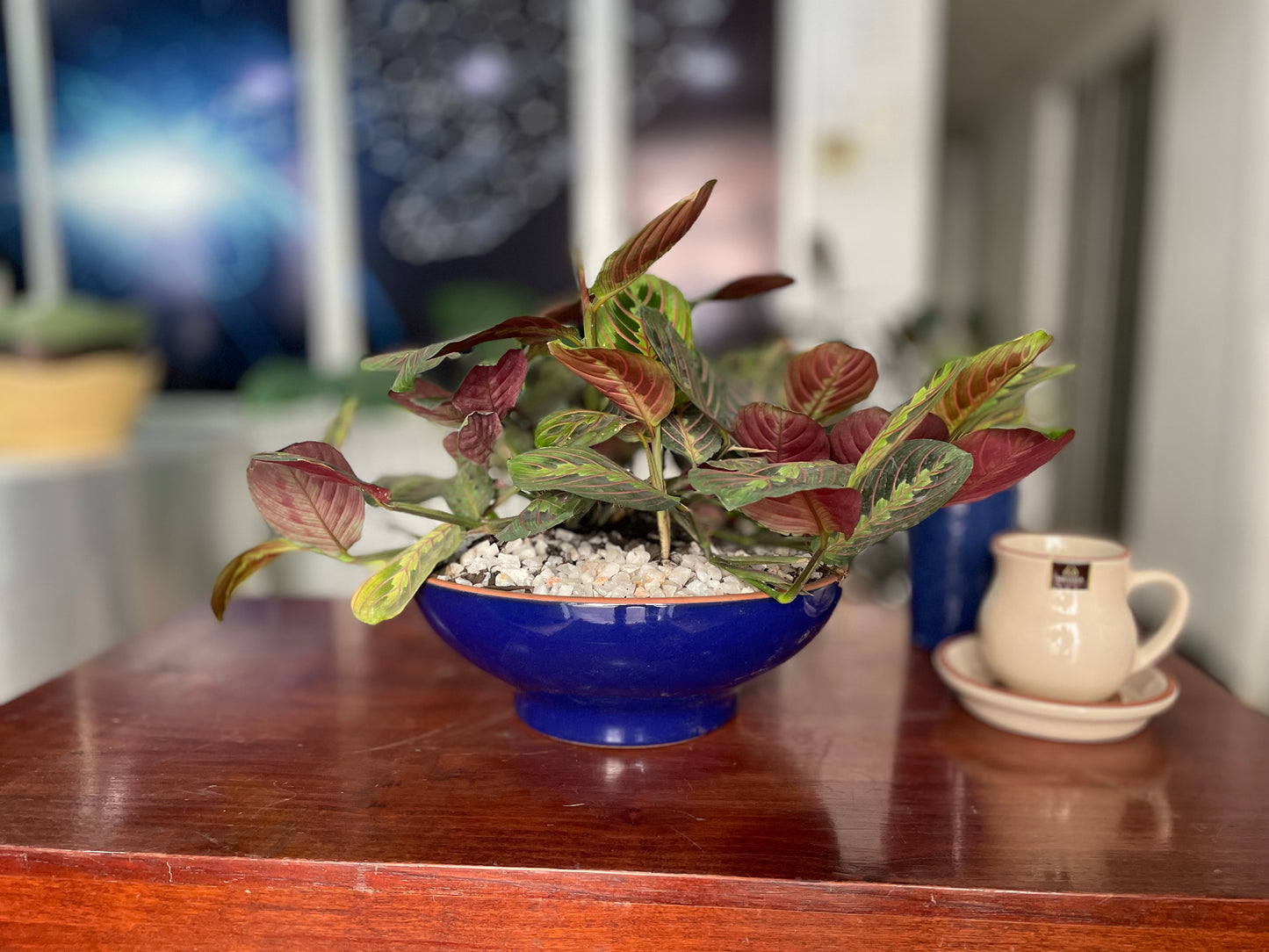 Centro de Mesa Esmaltado Azul-Imperial