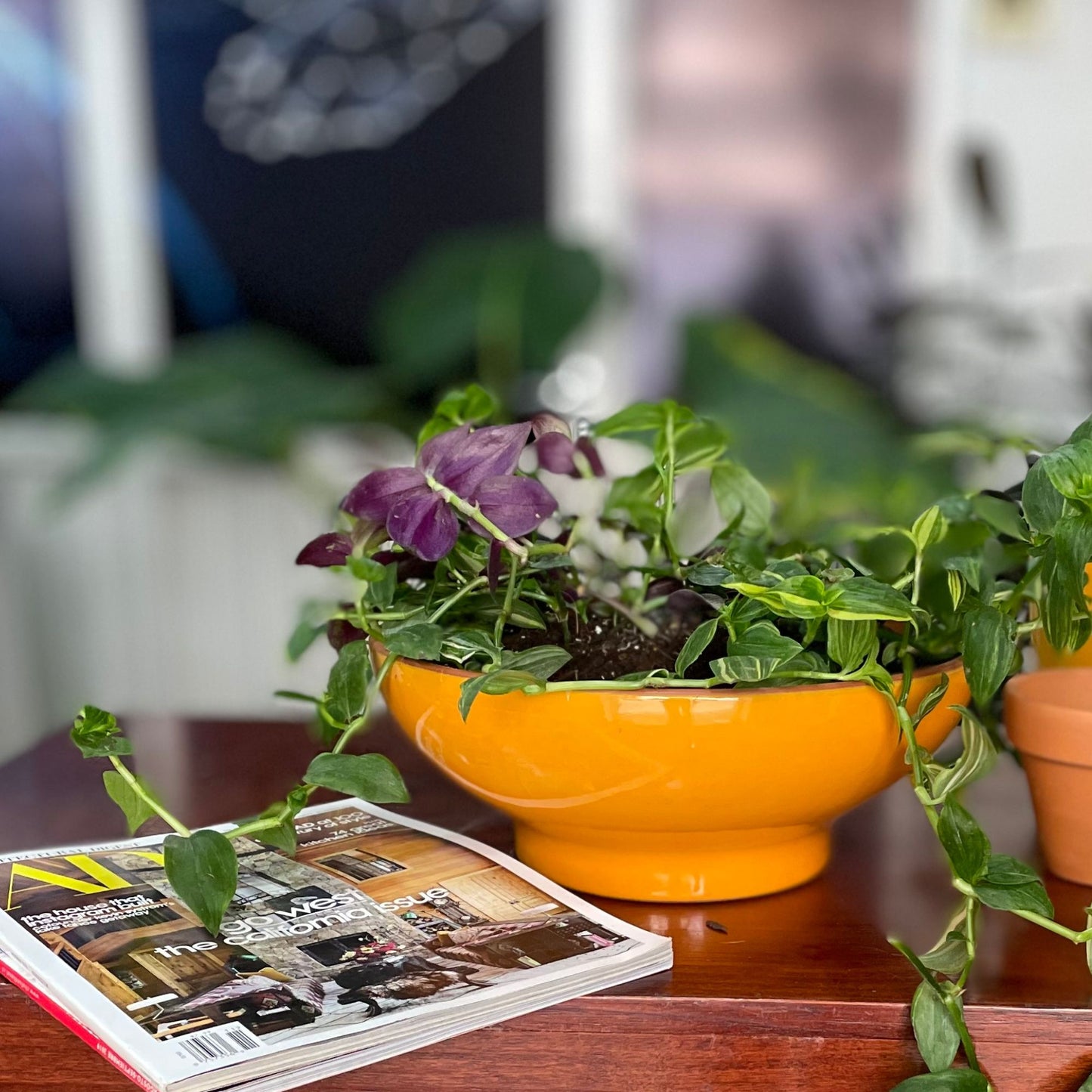 Centro de Mesa Mostaza Dijon