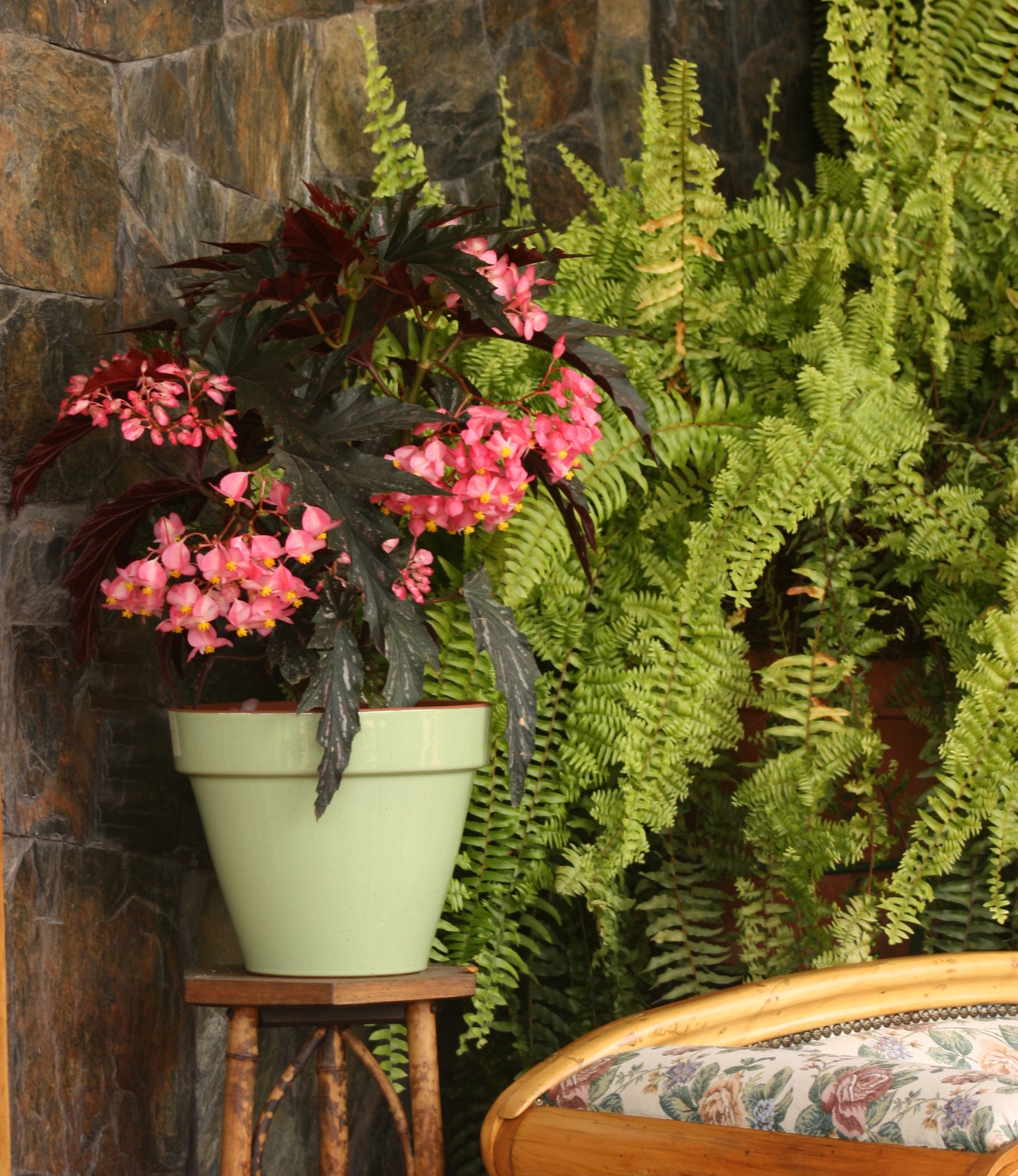 Maceta Kony Full Verde Salvia