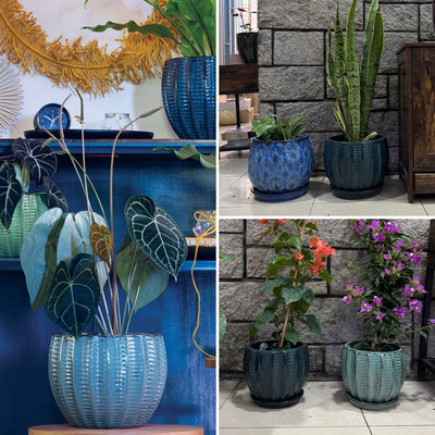 Macetero Hosse 20 con Plato