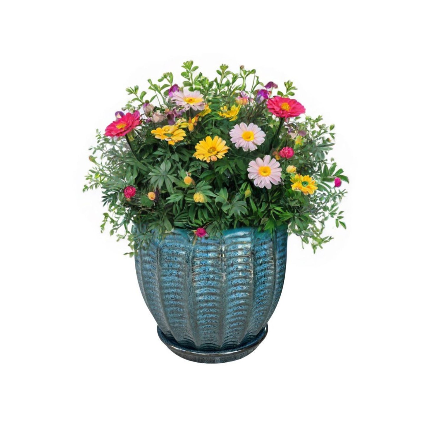 Macetero Hosse 27 con Plato