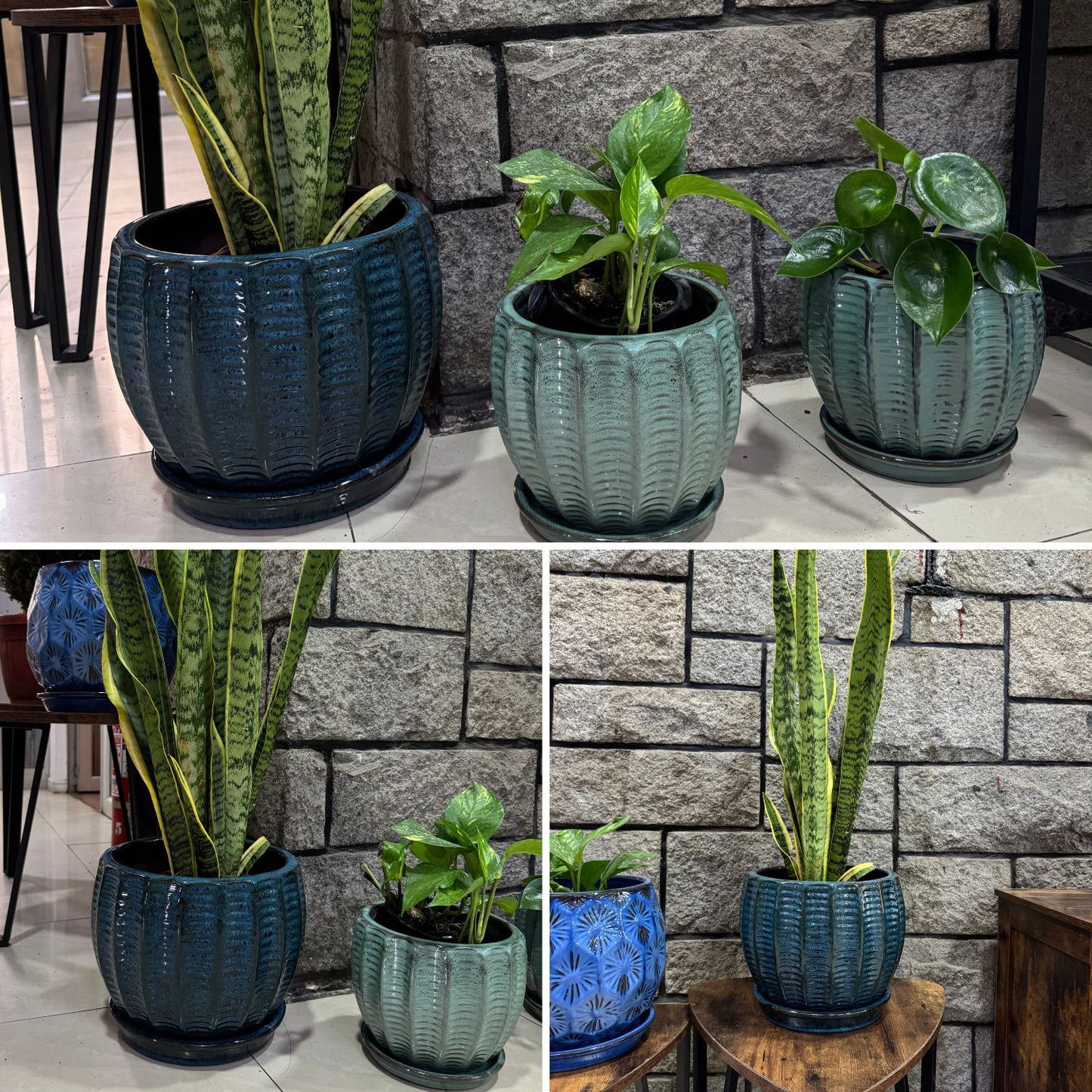 Macetero Hosse 37 con Plato