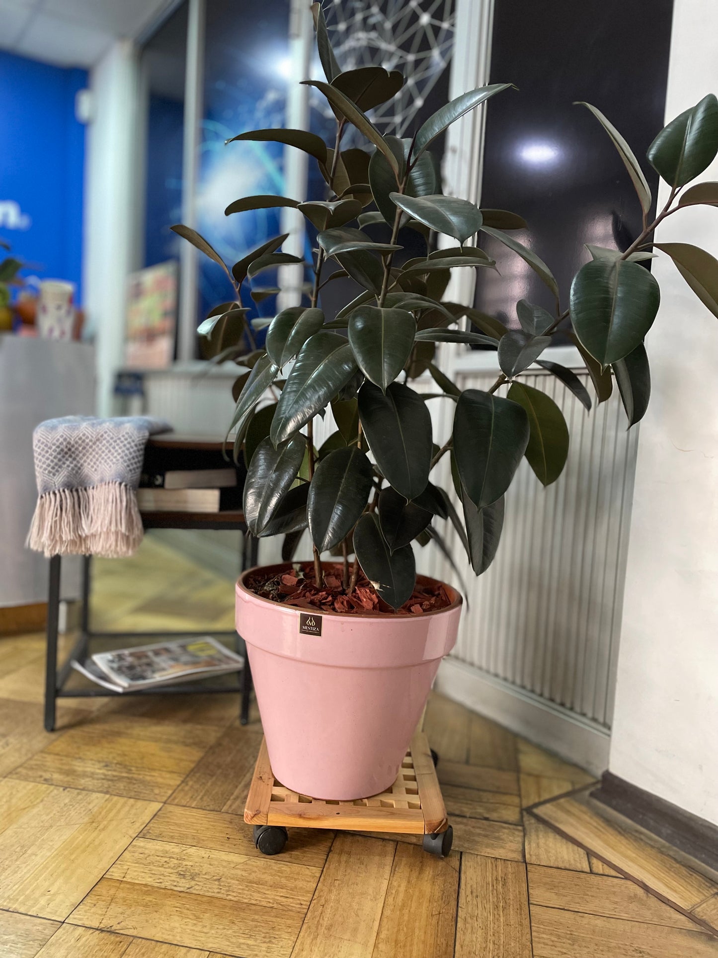 Portamacetero con Ruedas - Cuadrado