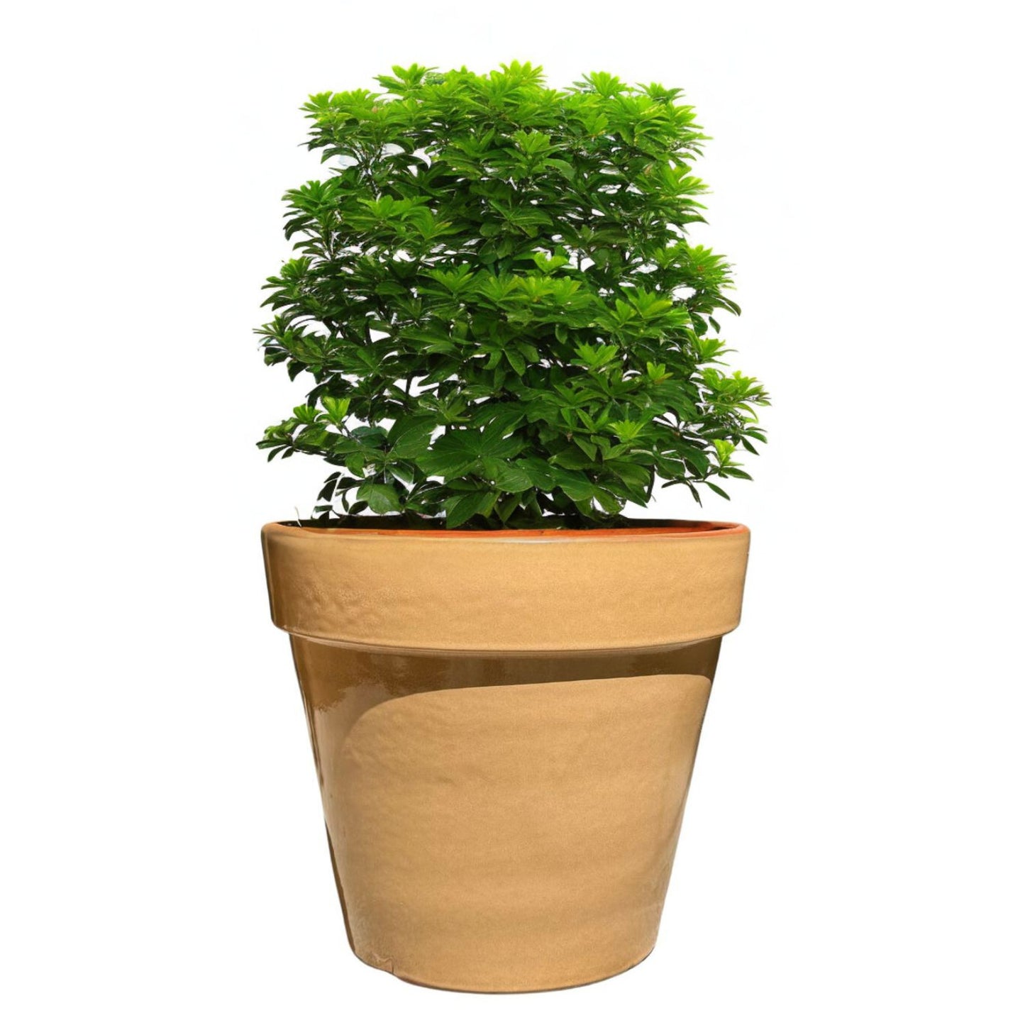 Maceta Kony 45 cms Full Cafe latte