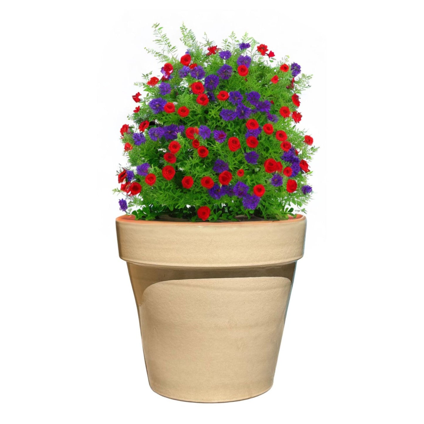 Maceta Kony 45 cms Full Arena Seca