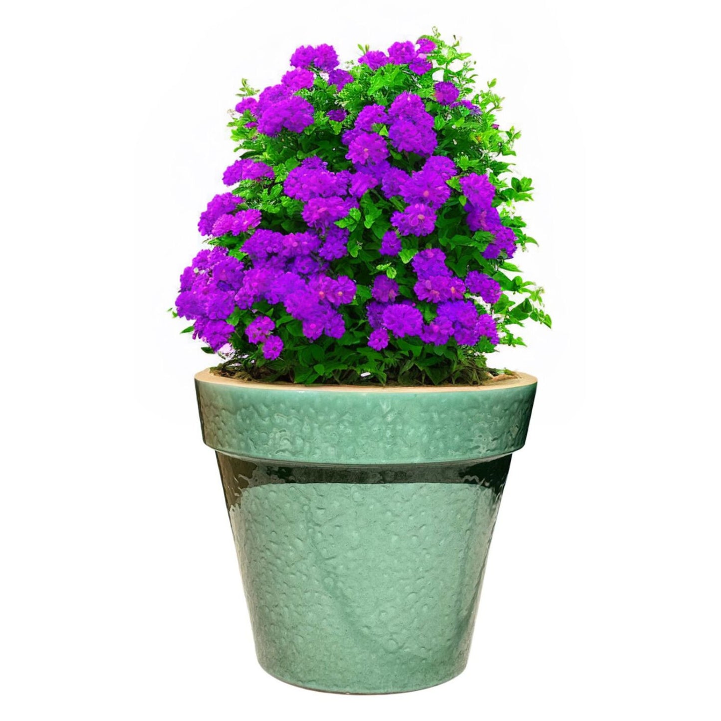 Maceta Kony 45cms Full Verde Laurel