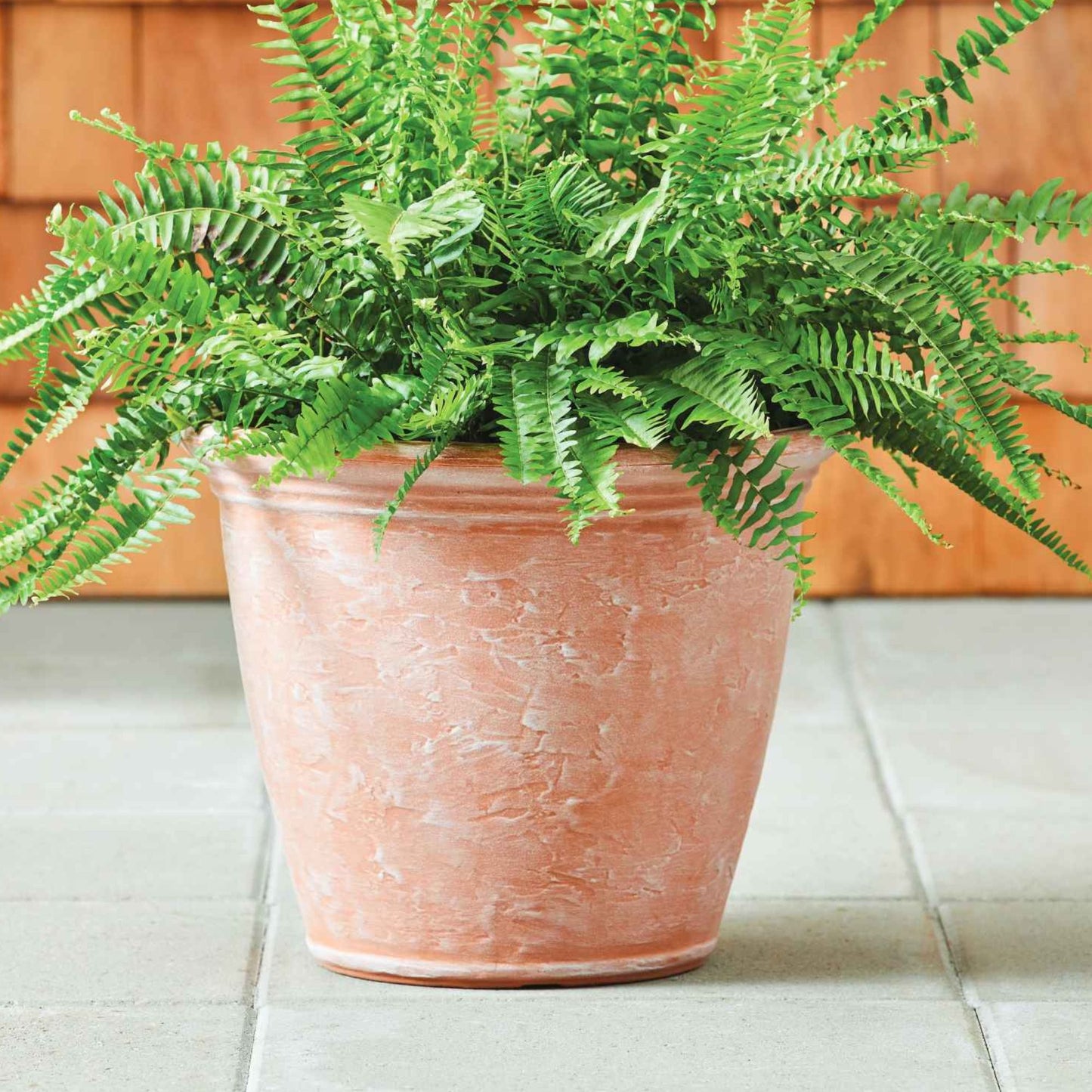 Macetero Grande Kiri 36