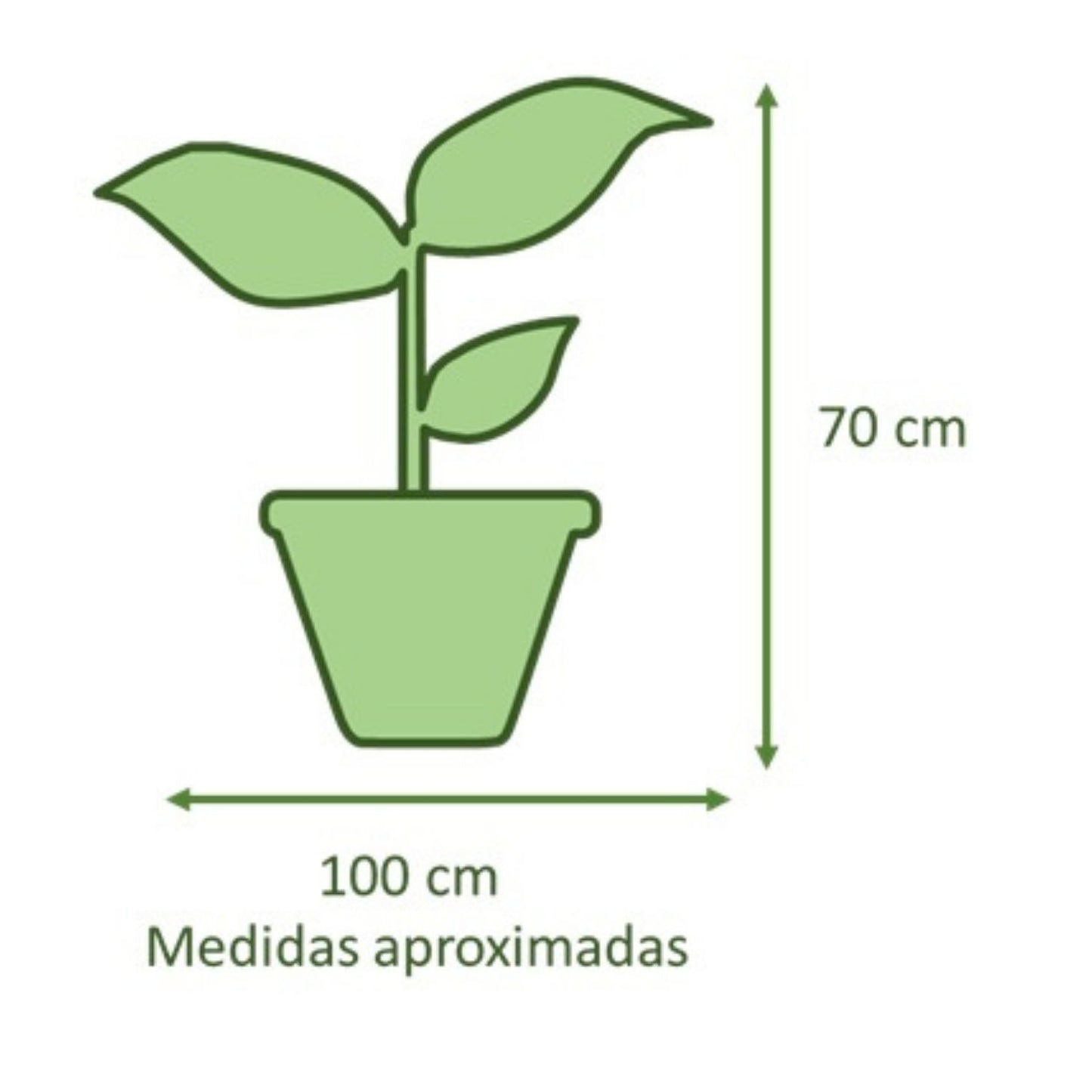 Manto De Eva con Maceta Rotomoldeado Duna 40cm Café