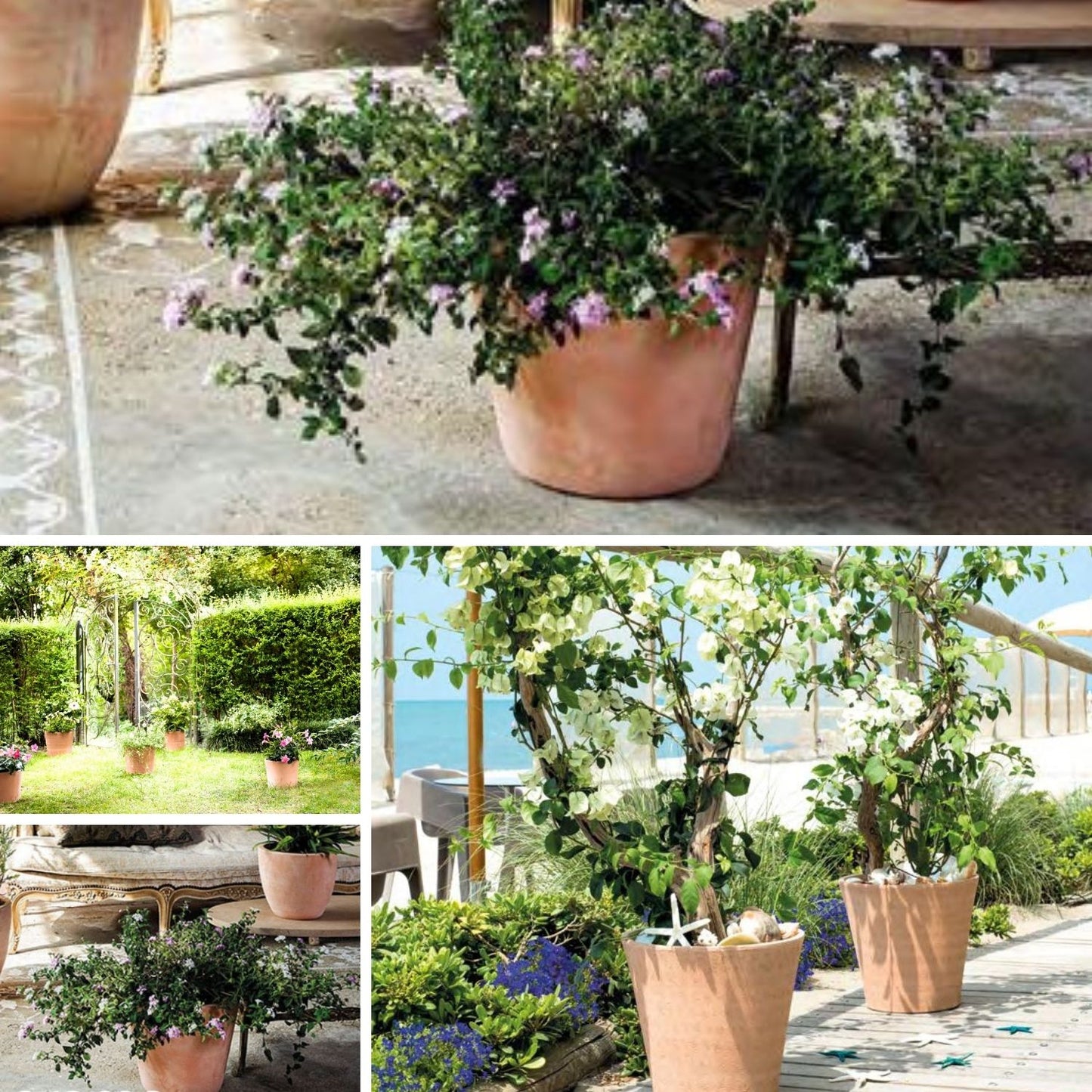 Macetero Dulce Cónico Terracota 23