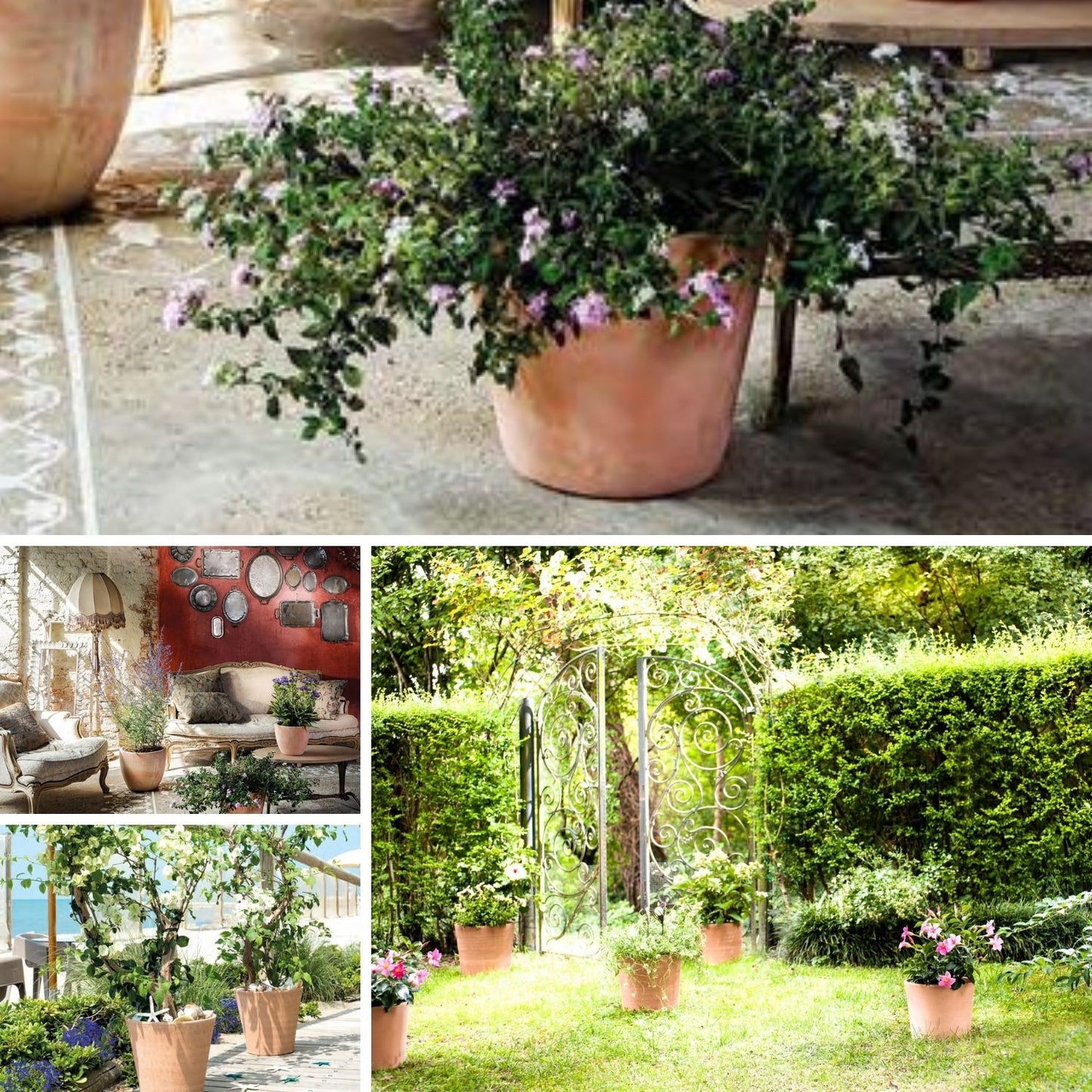 Macetero Dulce Cónico Terracota 36