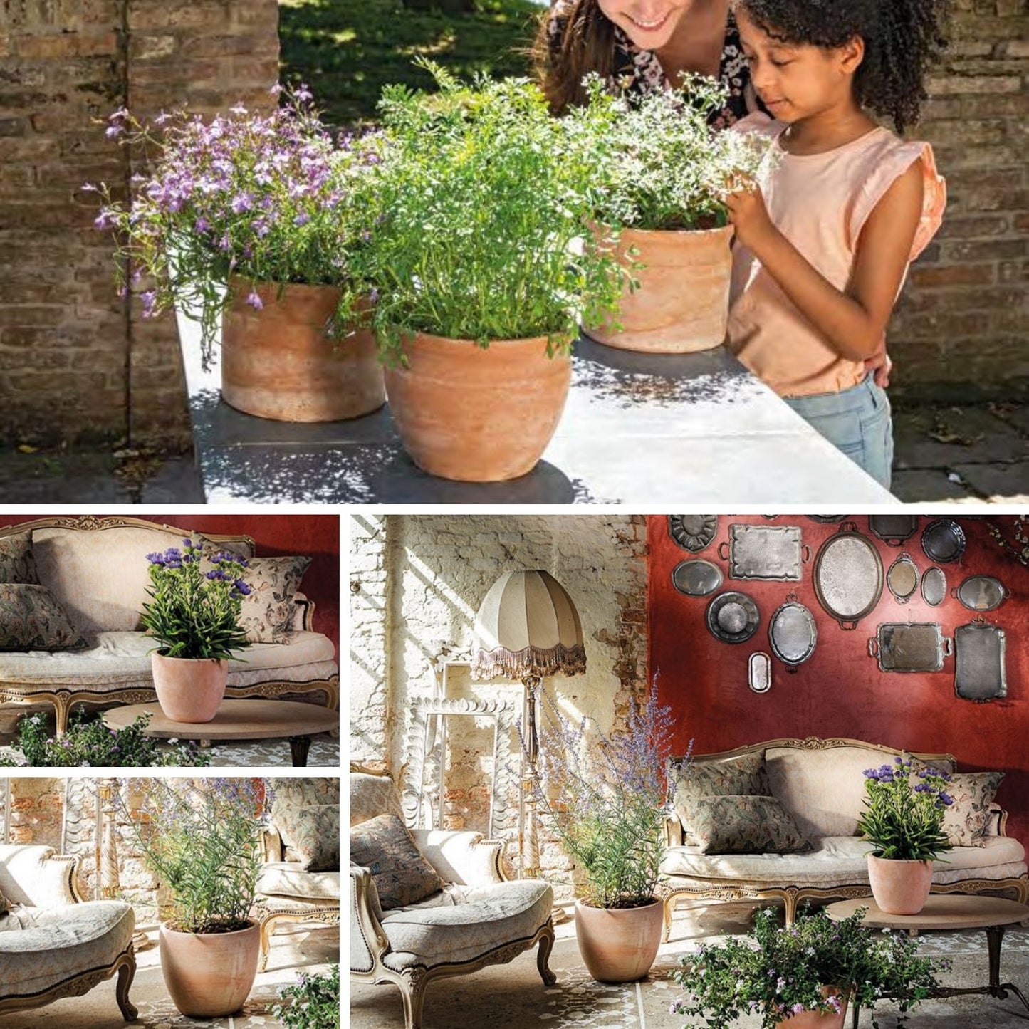 Macetero Dulce Ovalado Terracota 28