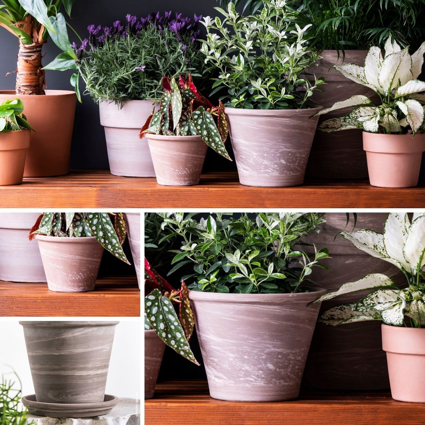 Macetero Vasum Duo Grafito 17