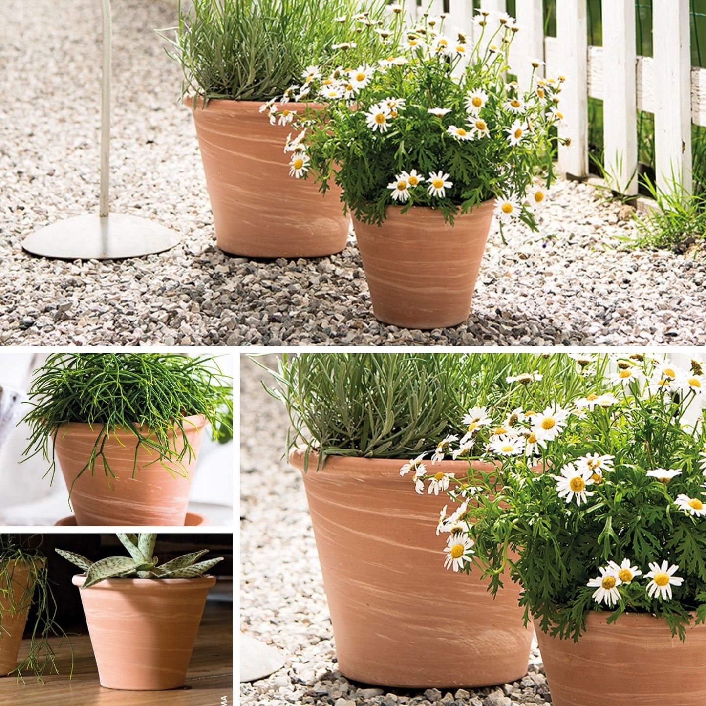 Macetero Vasum Duo Terracota 17