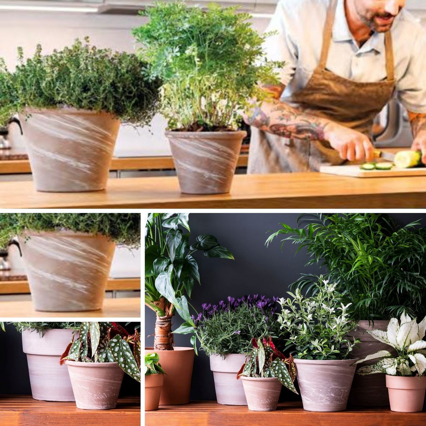 Macetero Vasum Duo Grafito 31