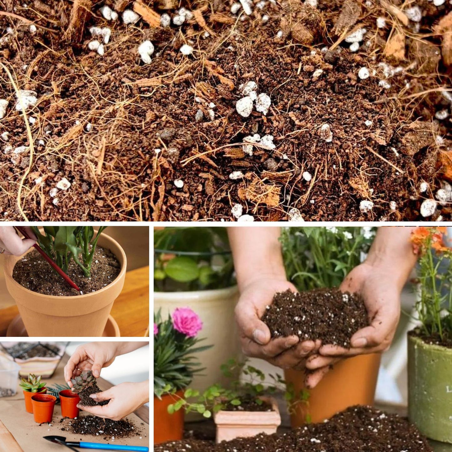 Sustrato Premium para Plantas de Interior 5 lts