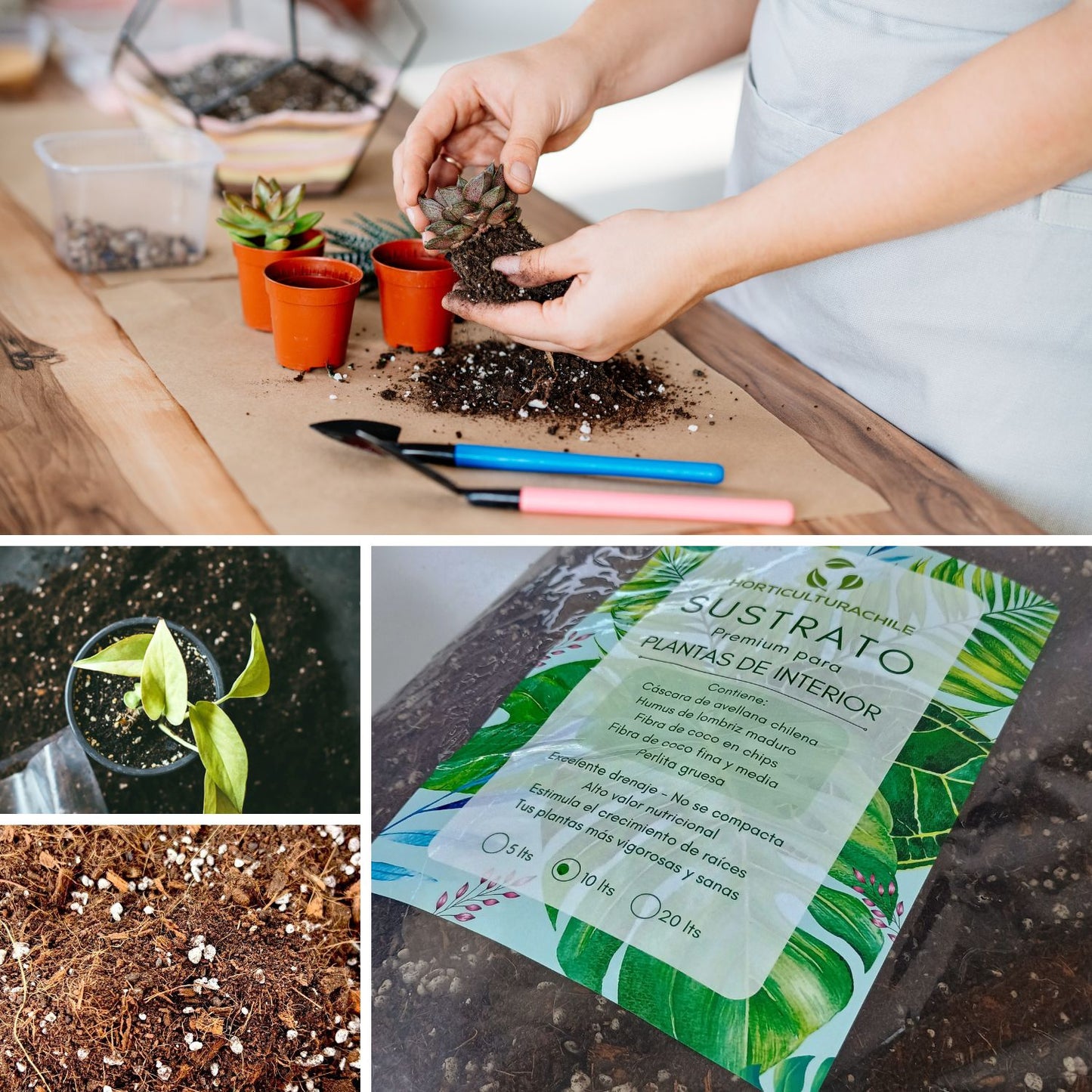 Sustrato Premium para Plantas de Interior 10 lts