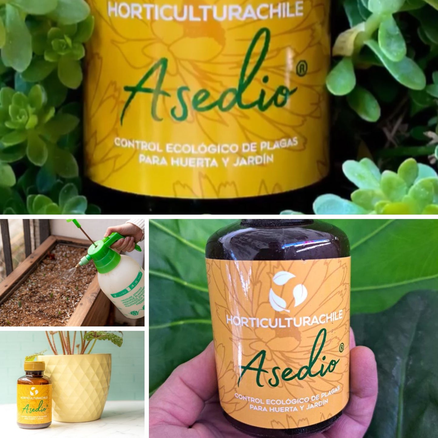 Asedio 280 ml - Controlador ecológico de plagas