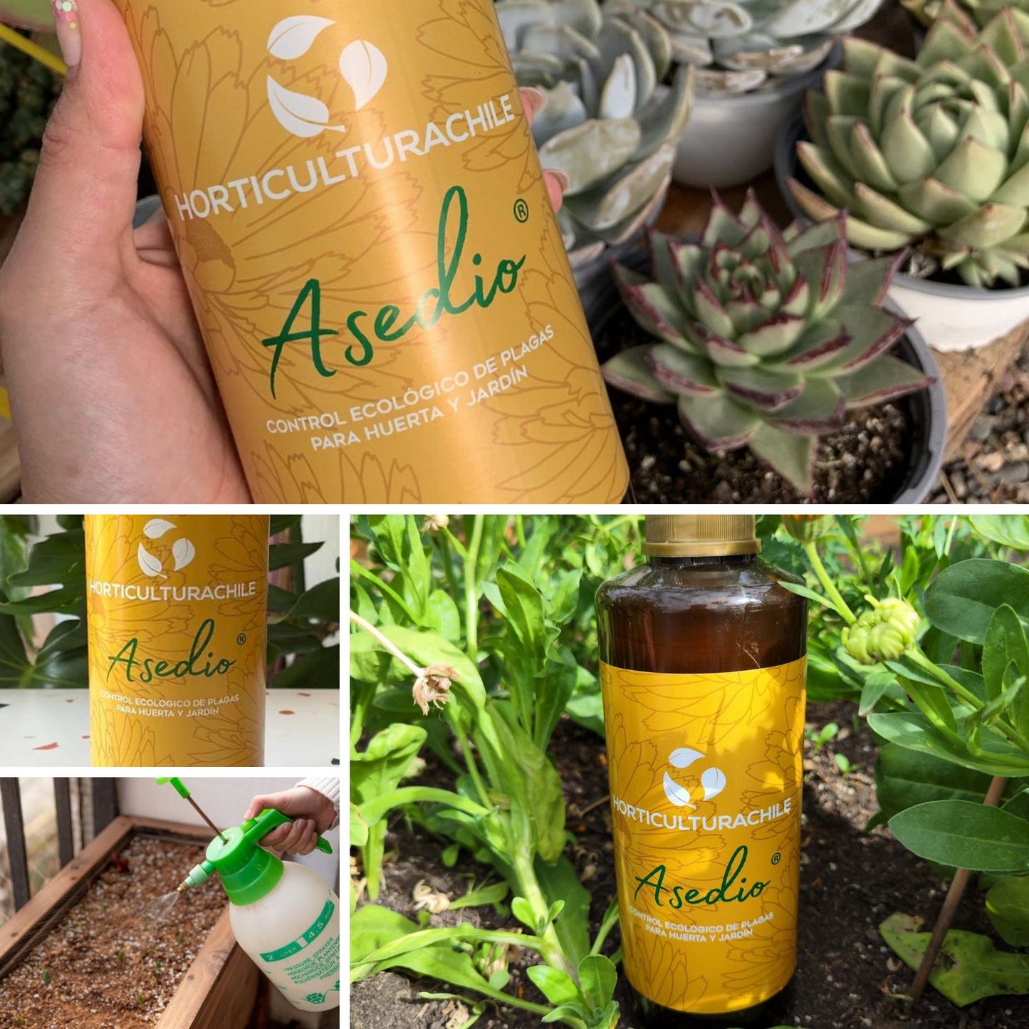 Asedio 1 Lt - Controlador ecológico de plagas