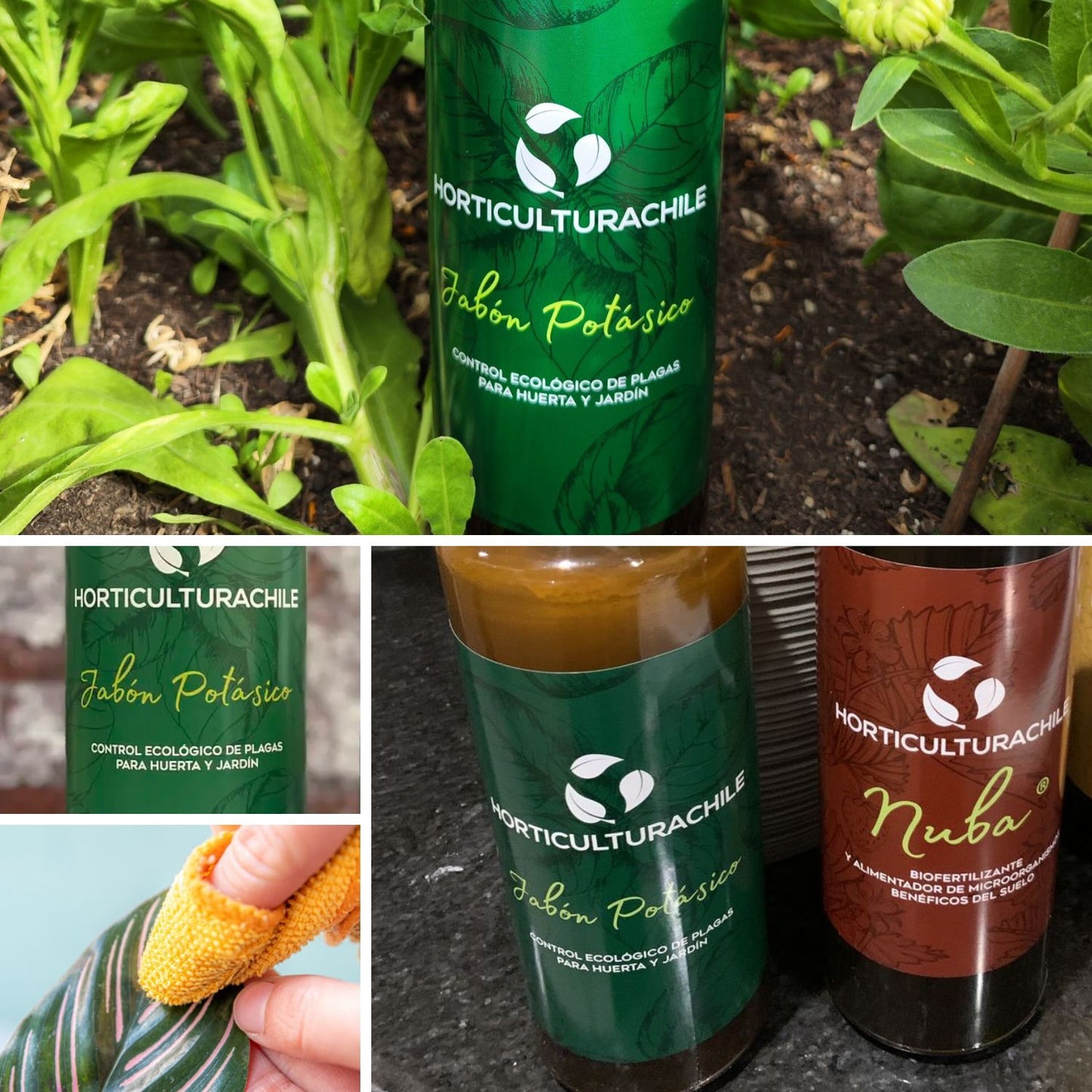 Jabón Potásico 1 Lt - Controlador ecológico de plagas