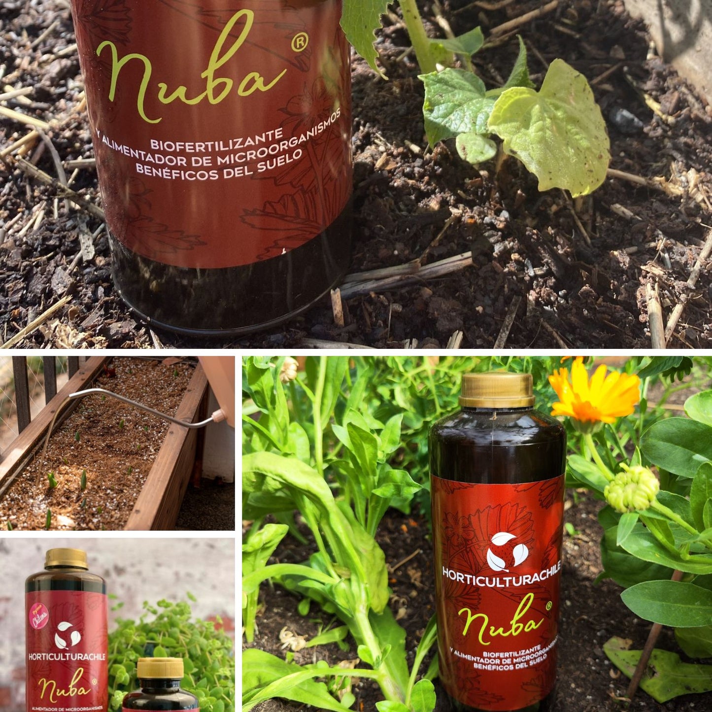 Nuba 1 Lt - Biofertilizante