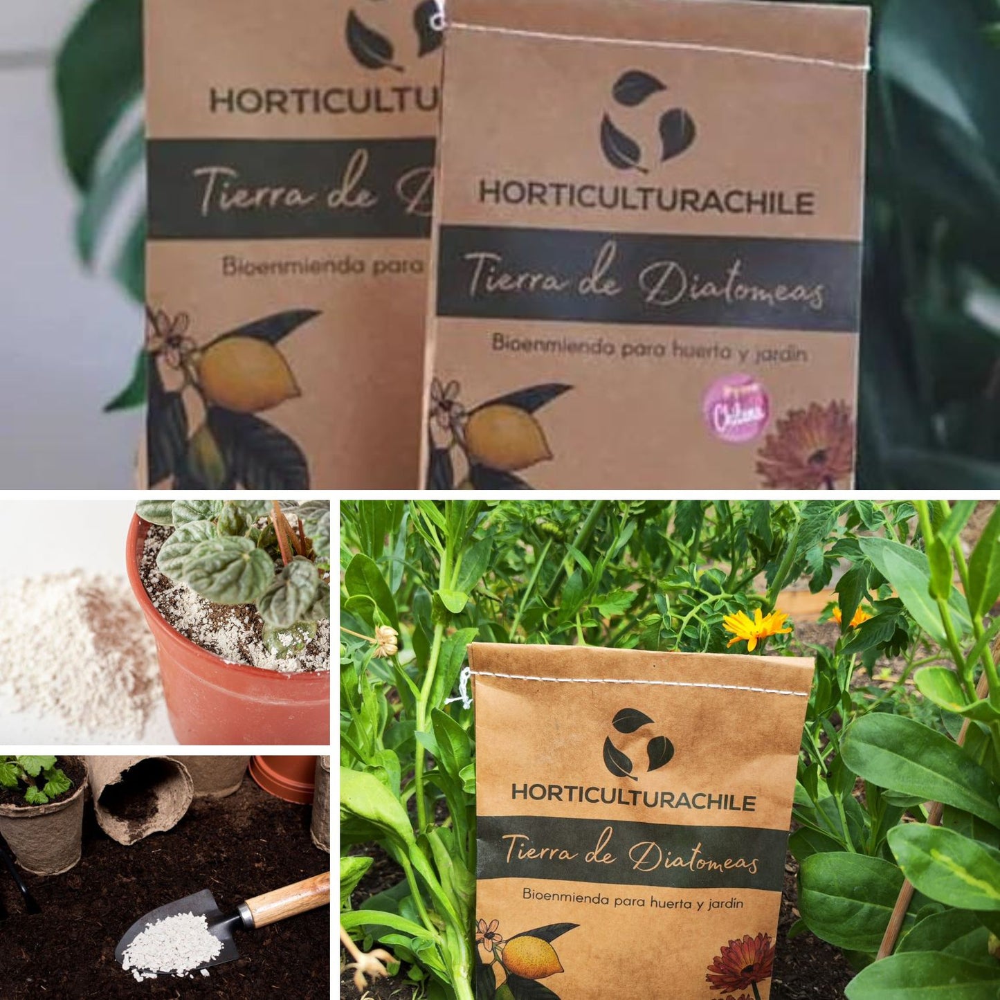 Tierra de Diatomeas - 500 gr