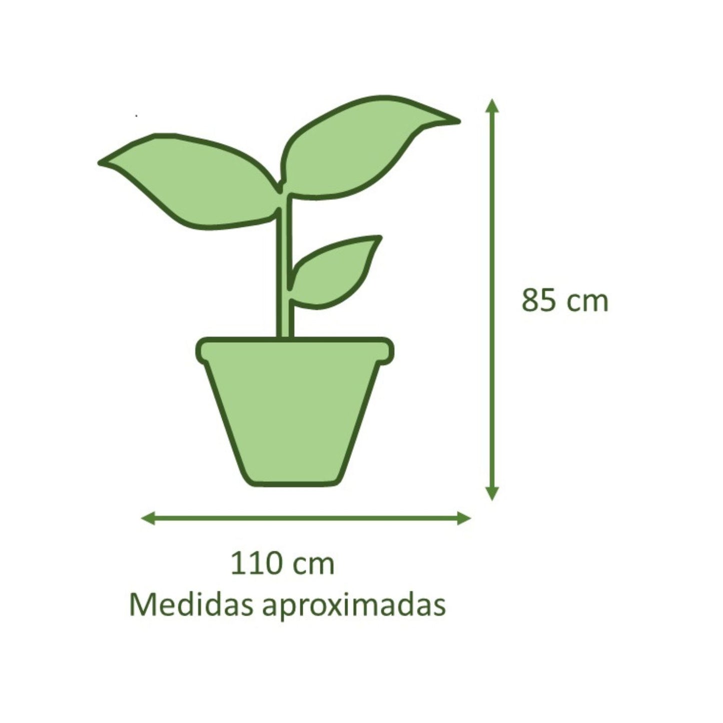 Philodendro Paraguayo Macetero Rotomoldeado 33cm Gris