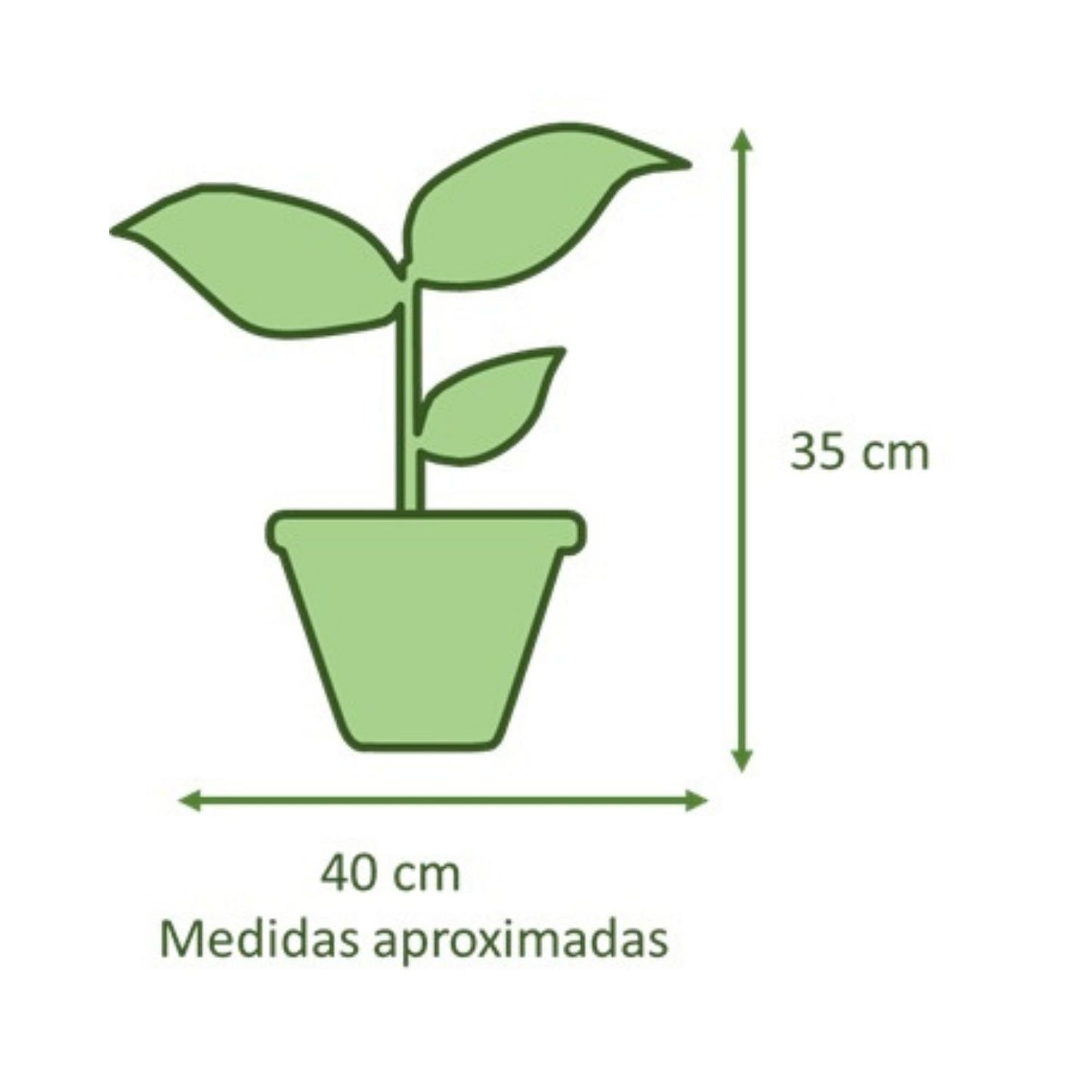 Spathiphyllum VegoTerra con Maceta Kony 19cm Azul