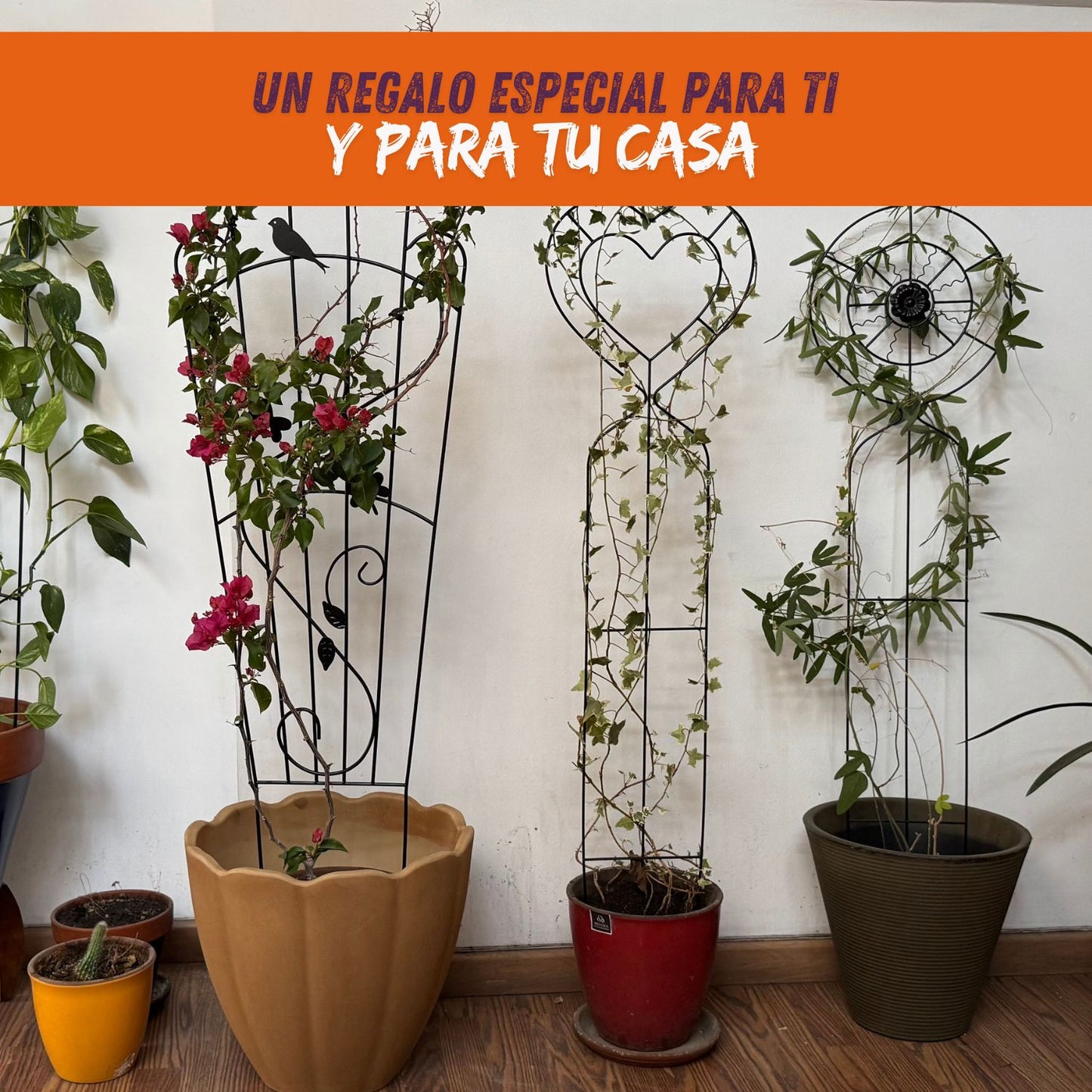 Soporte para Plantas Trepadora Corazón