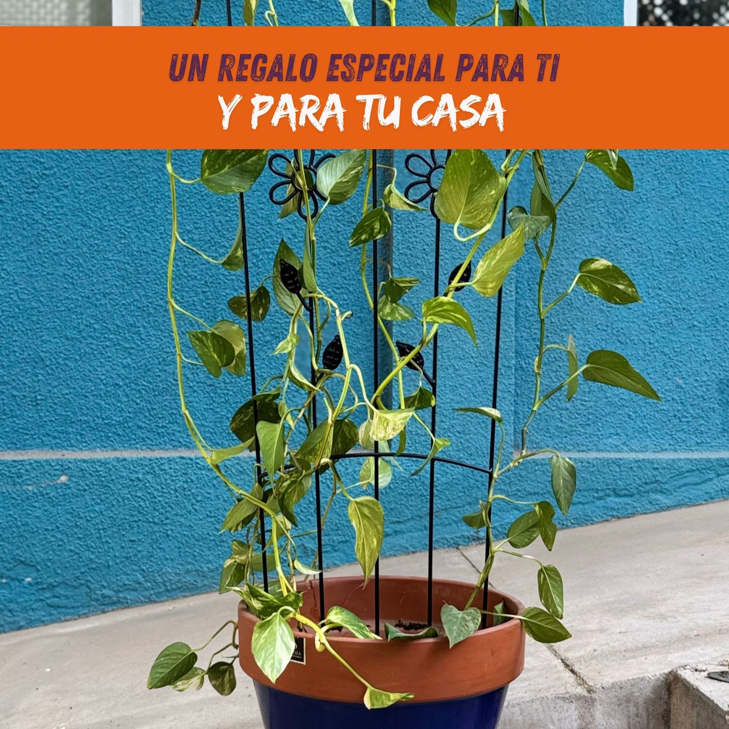 Soporte para Plantas Trepadora Flores