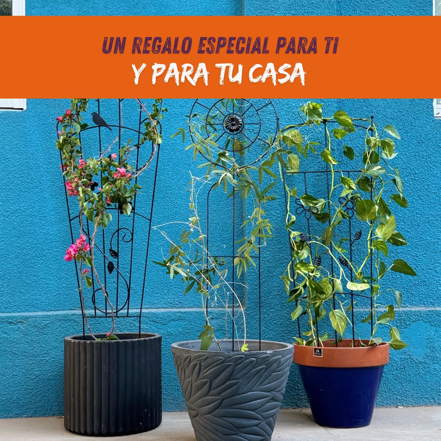 Soporte para Plantas Trepadora Mariposa