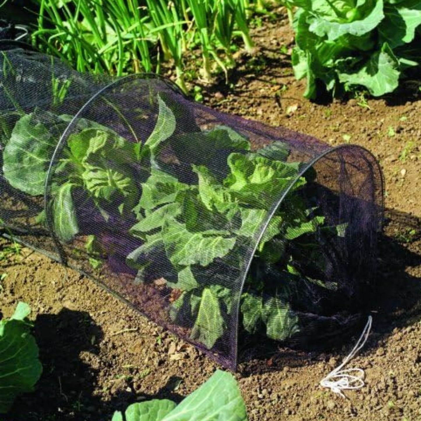 Túnel Protector para Cultivo 3mt