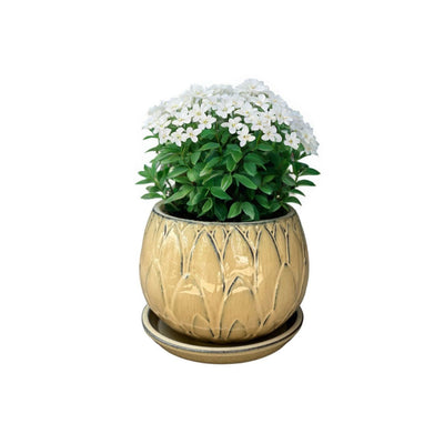 Macetero Victoria 18 con Plato