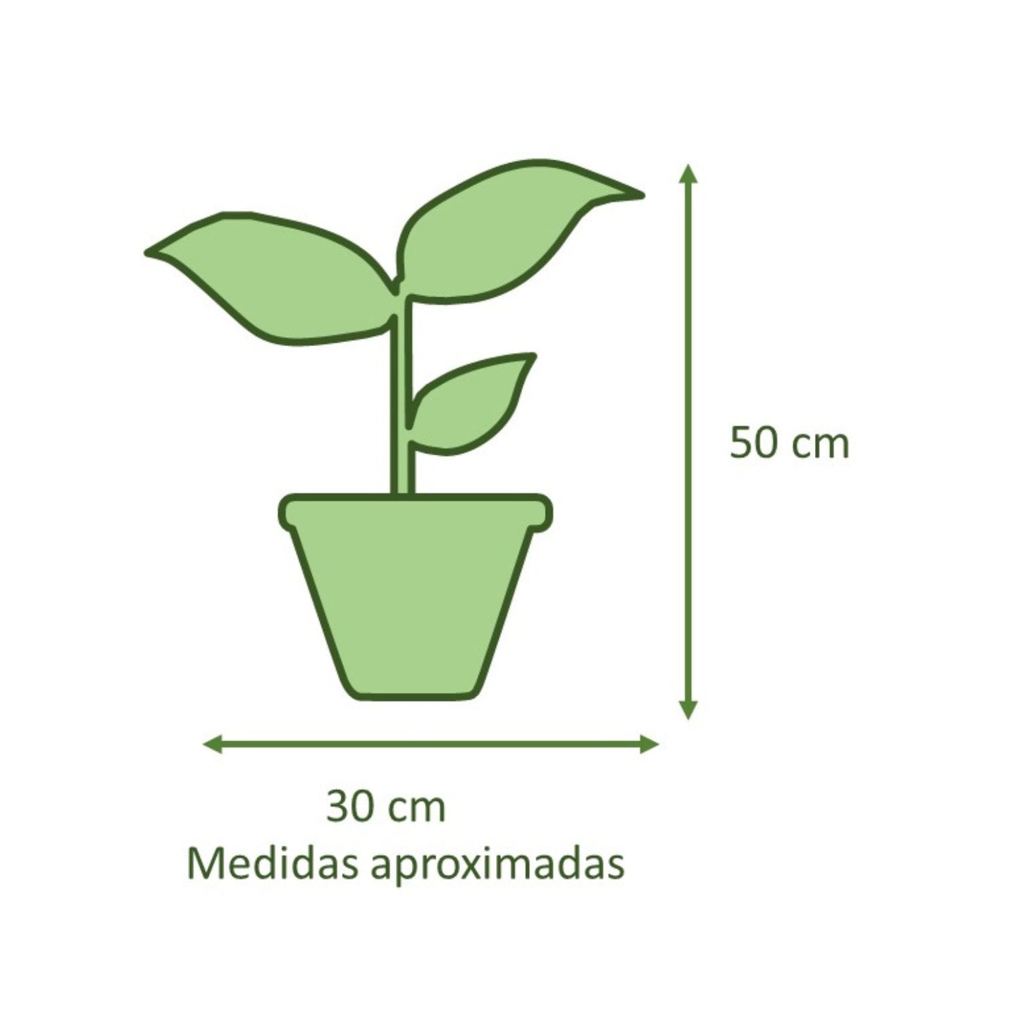 Yuca Macetero Cemento Cuadrada 16cm