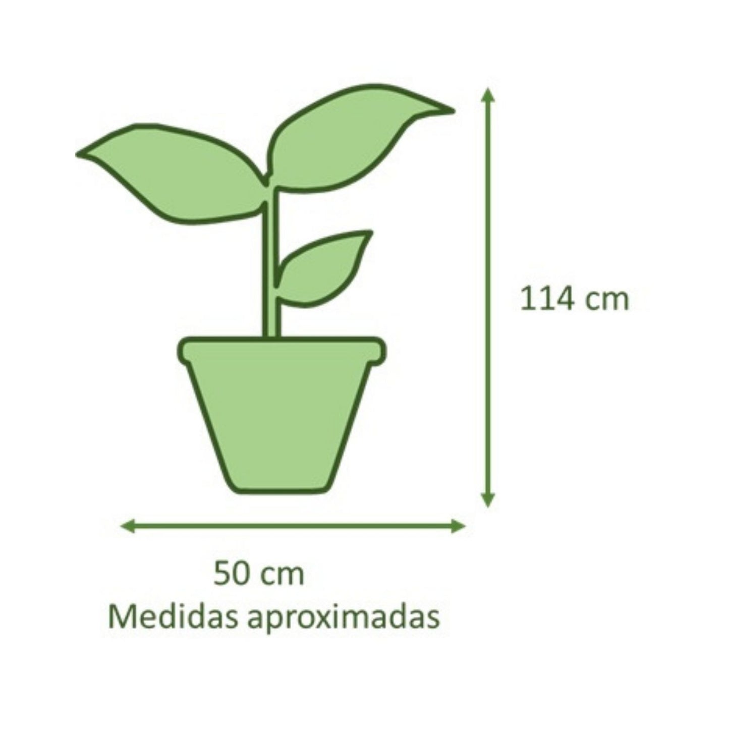 Yuca Doble con Maceta Rotomoldeada Circca 40cm Gris