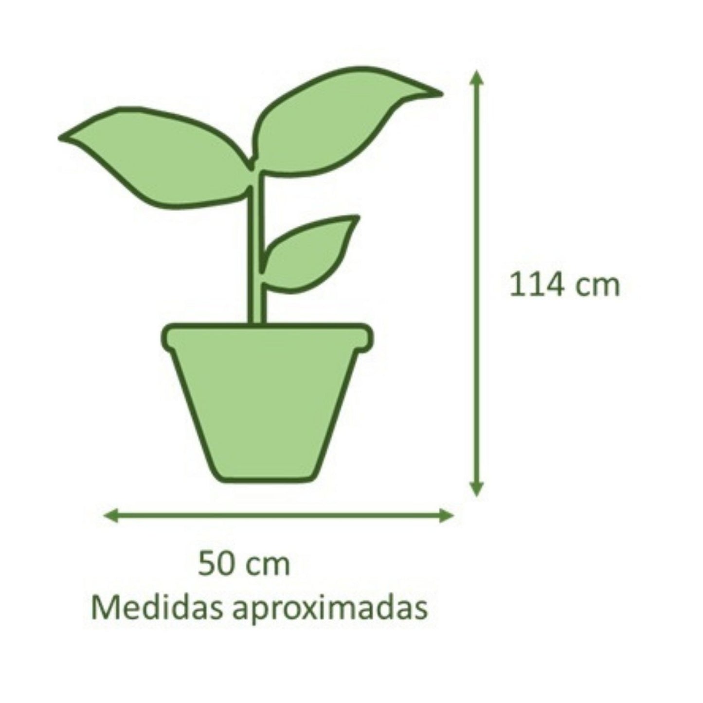 Yuca Doble VegoTerra Con Maceta Kony 30cm Verde
