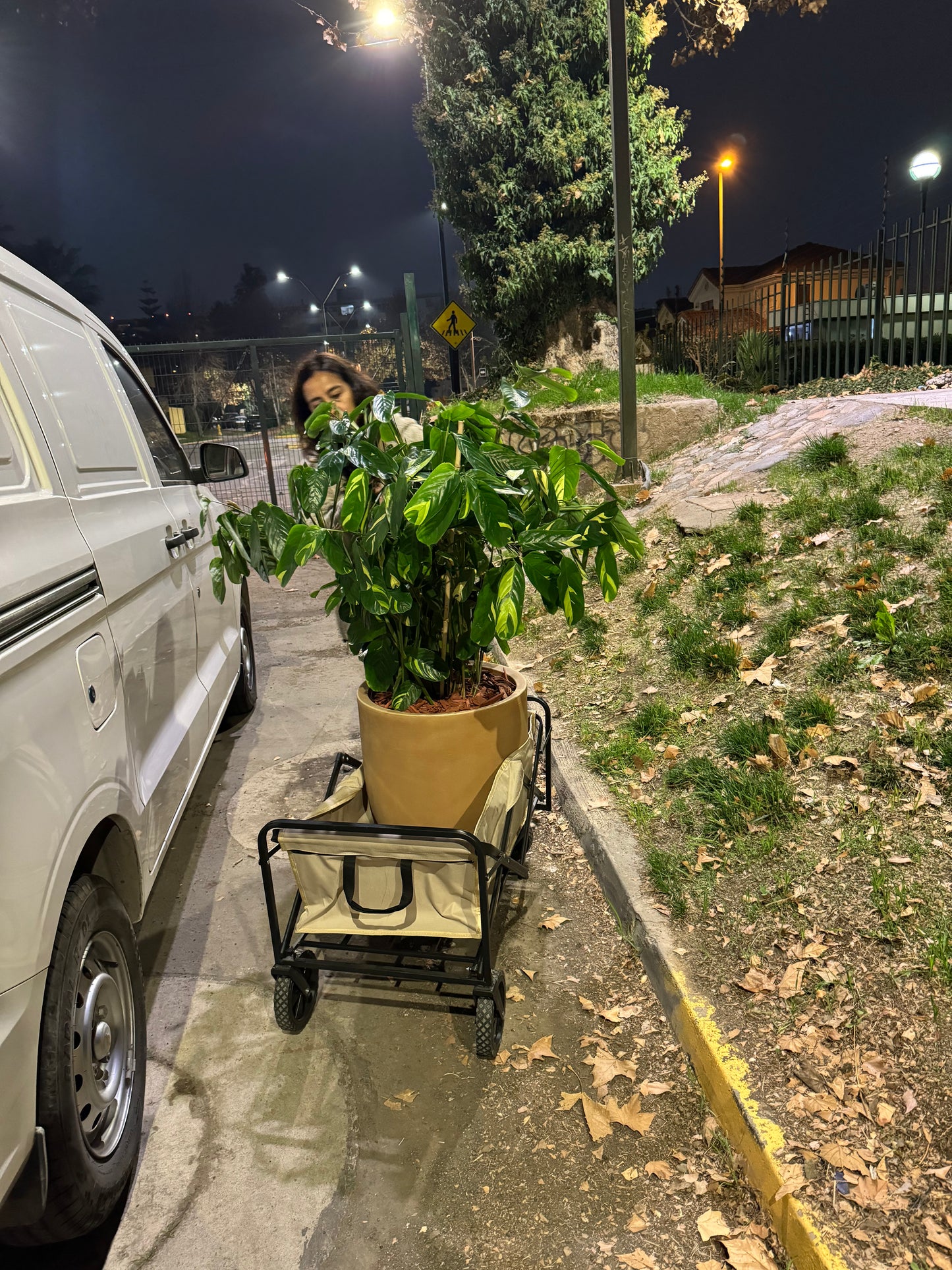 Carro de Carga Plegable Urbano - 100K Beige