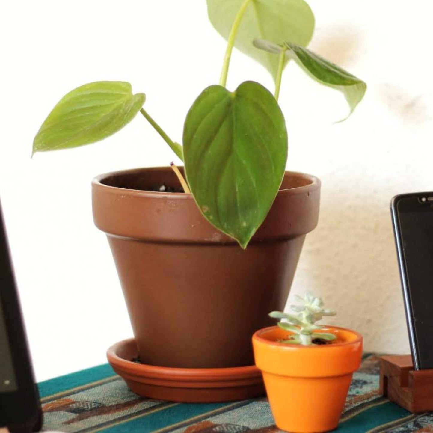 Maceta Kony 19 Morena