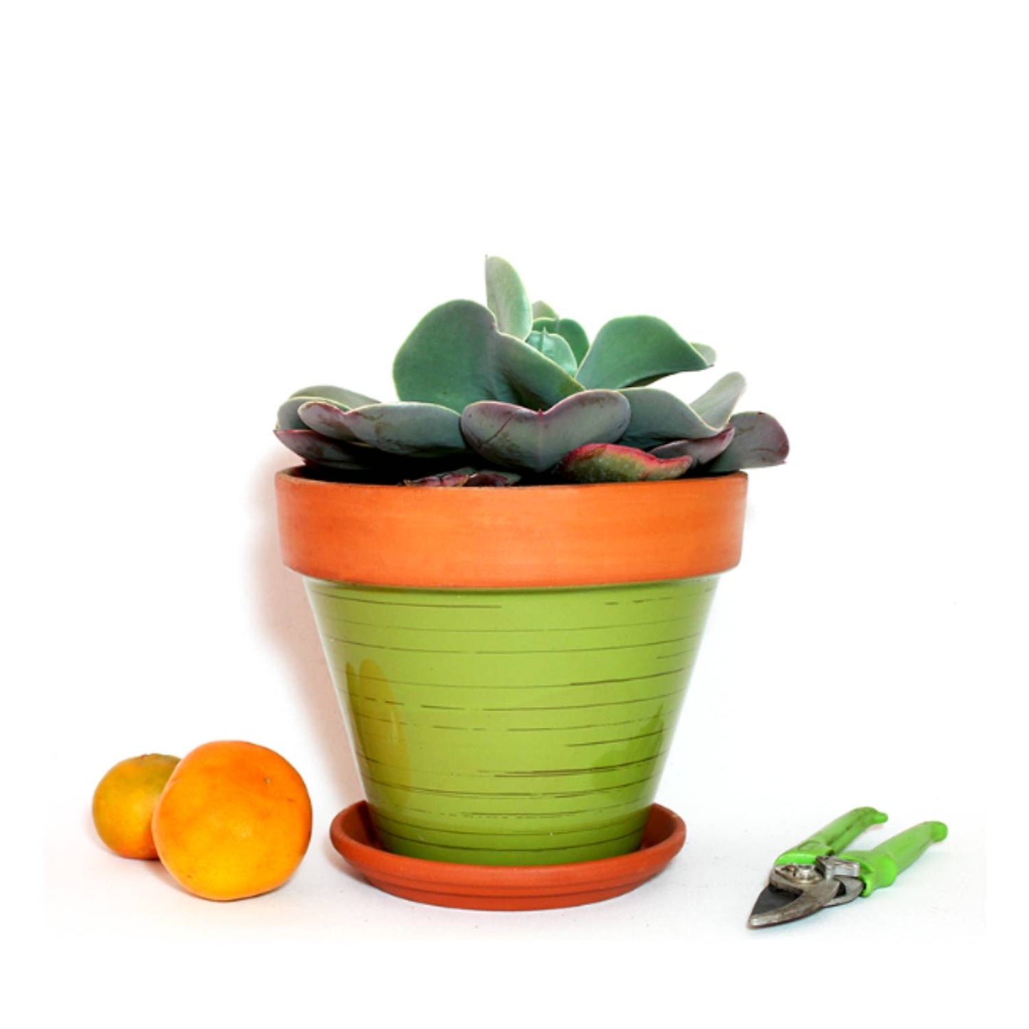 Maceta Kony 19 Terra Verde