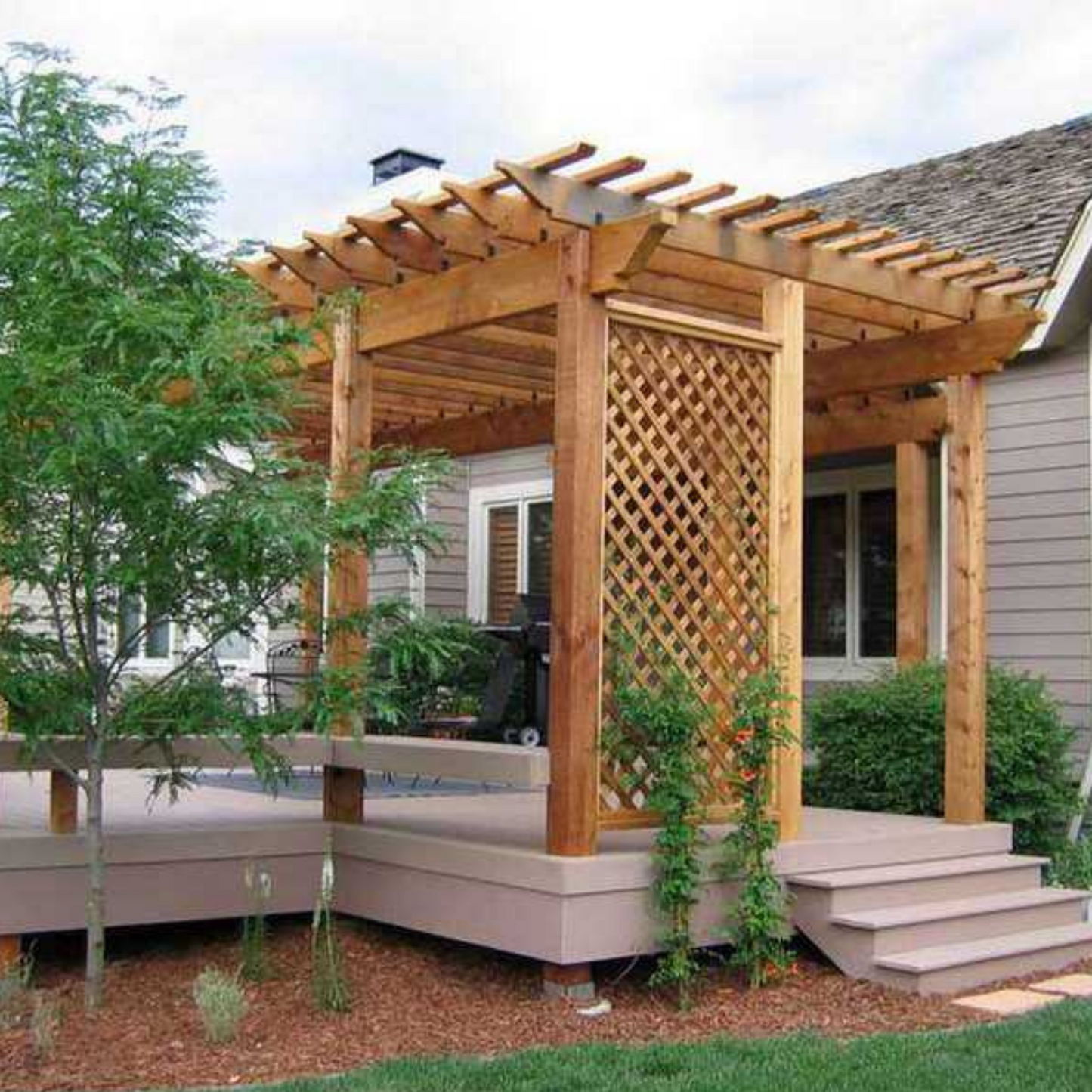 Enrejado con Marco 60x200cm - Rombo 3cm