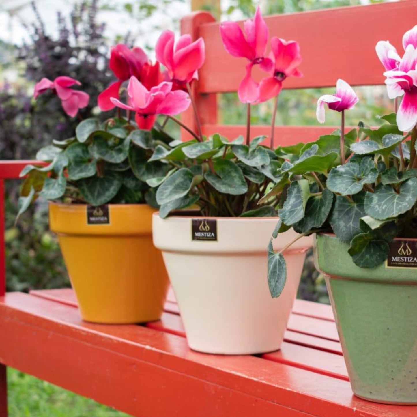 Maceta Kony Full Beige