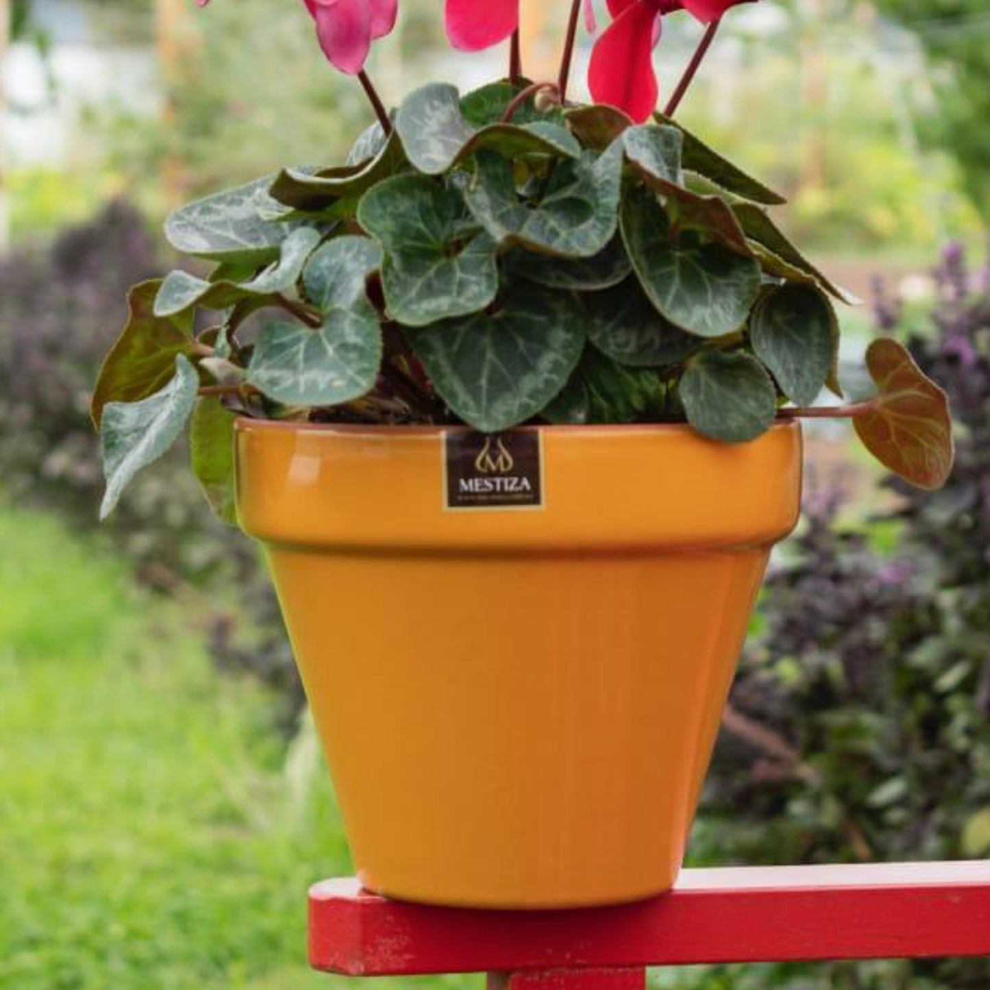 Maceta Kony Full Mostaza Mango