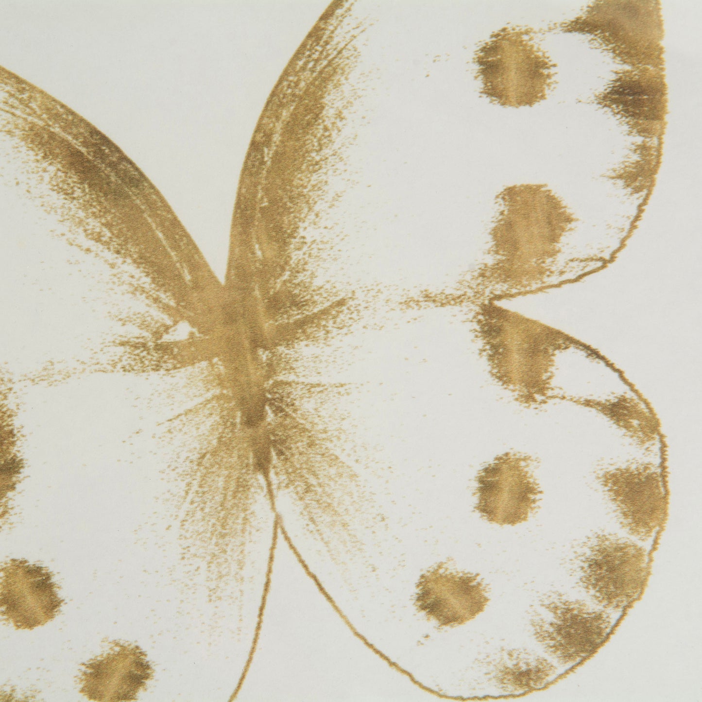 Set 3 Mariposas Lusitanas