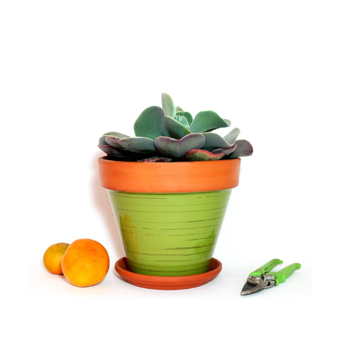 Plato para Macetas Terracota Deroma