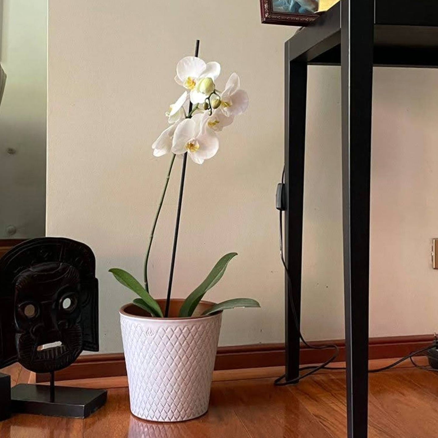 Maceta Zaia Blanco Polka